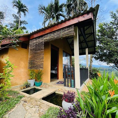 Rainforest Nature House Deniyaya Bagian luar foto