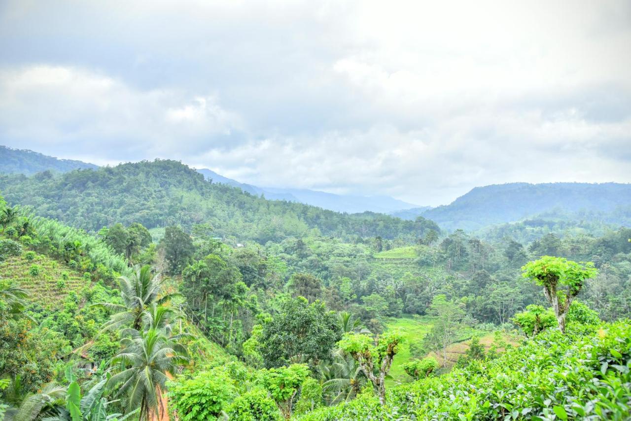 Rainforest Nature House Deniyaya Bagian luar foto