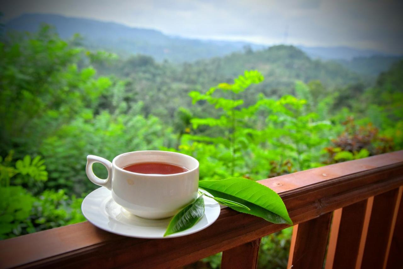 Rainforest Nature House Deniyaya Bagian luar foto