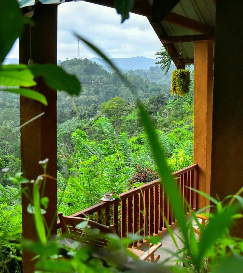 Rainforest Nature House Deniyaya Bagian luar foto