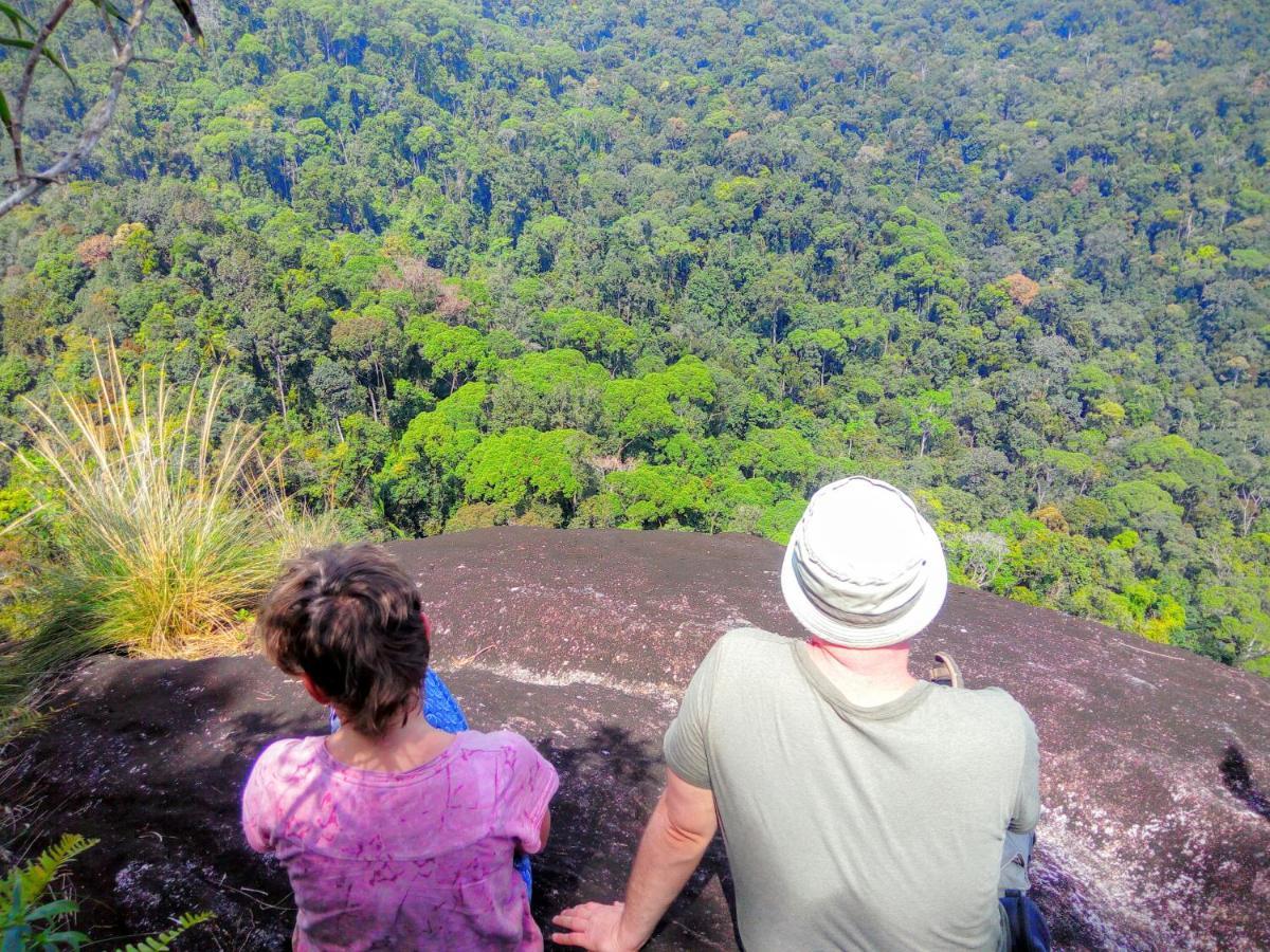 Rainforest Nature House Deniyaya Bagian luar foto