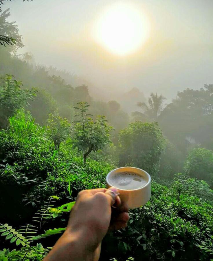 Rainforest Nature House Deniyaya Bagian luar foto