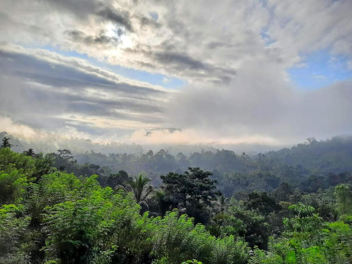 Rainforest Nature House Deniyaya Bagian luar foto