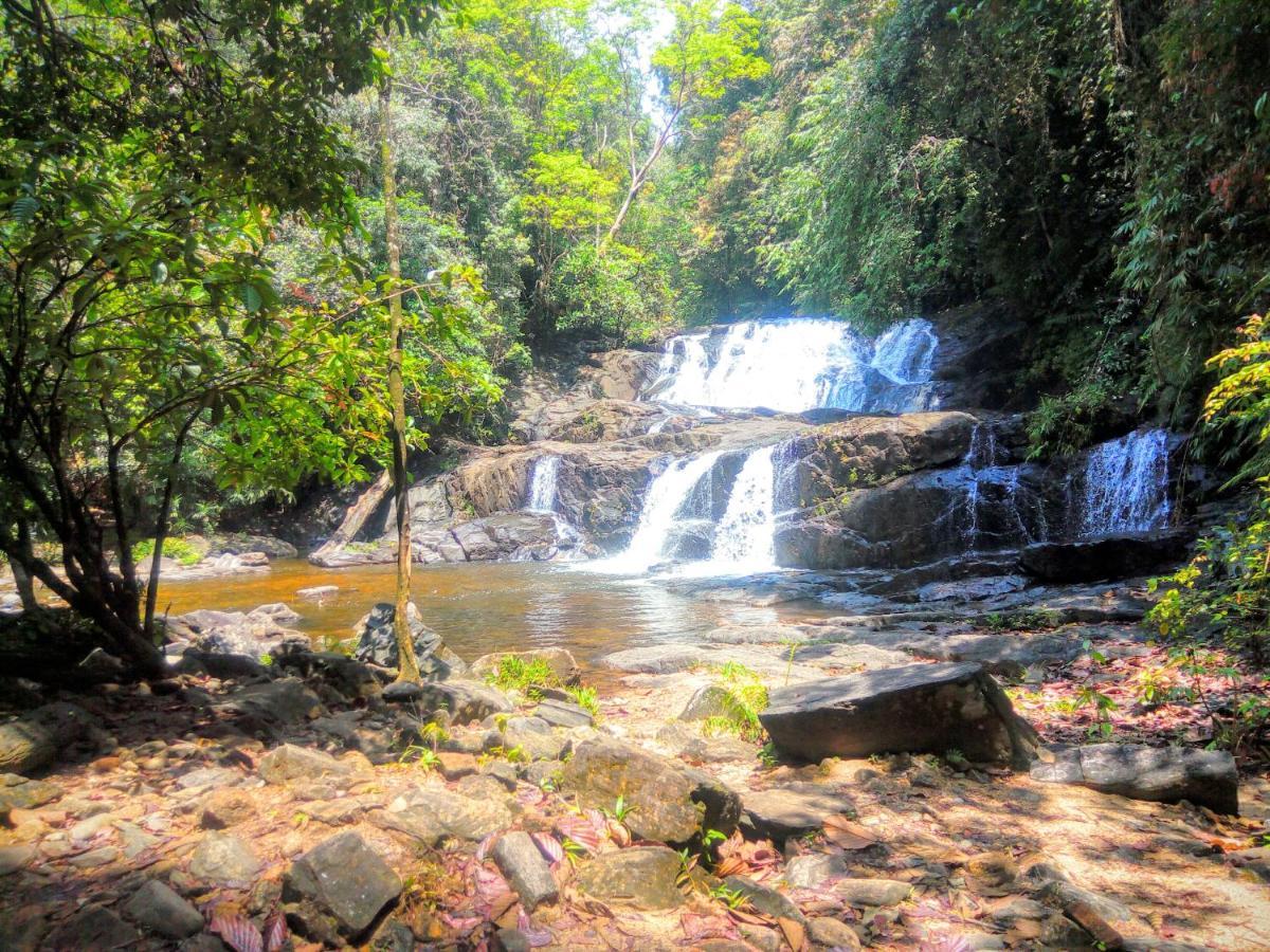 Rainforest Nature House Deniyaya Bagian luar foto