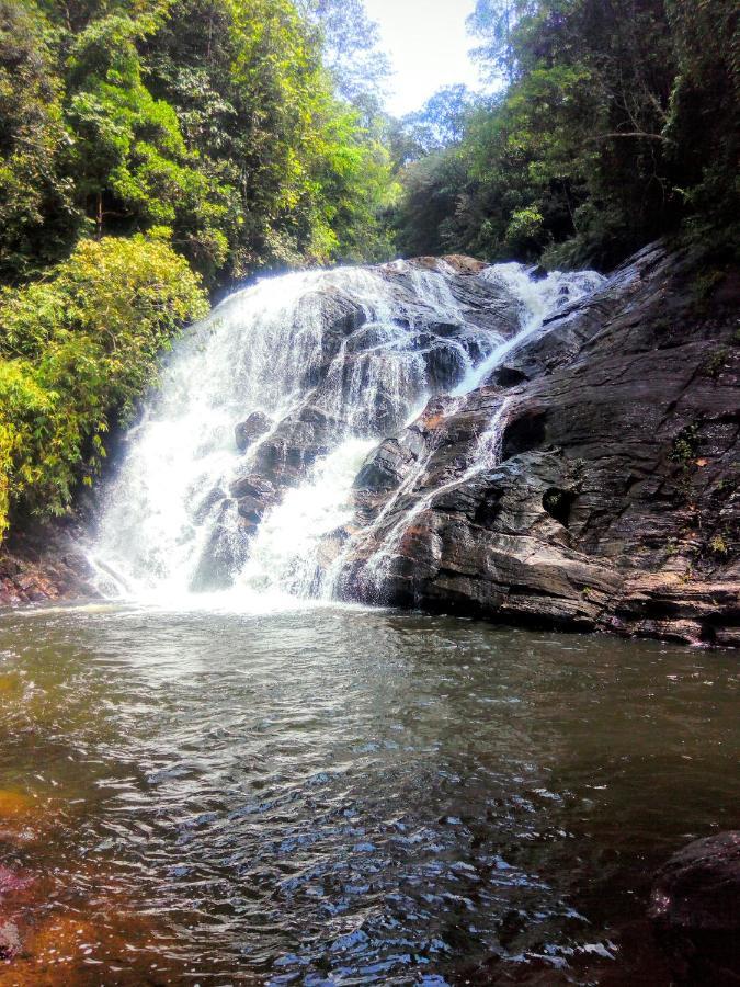 Rainforest Nature House Deniyaya Bagian luar foto