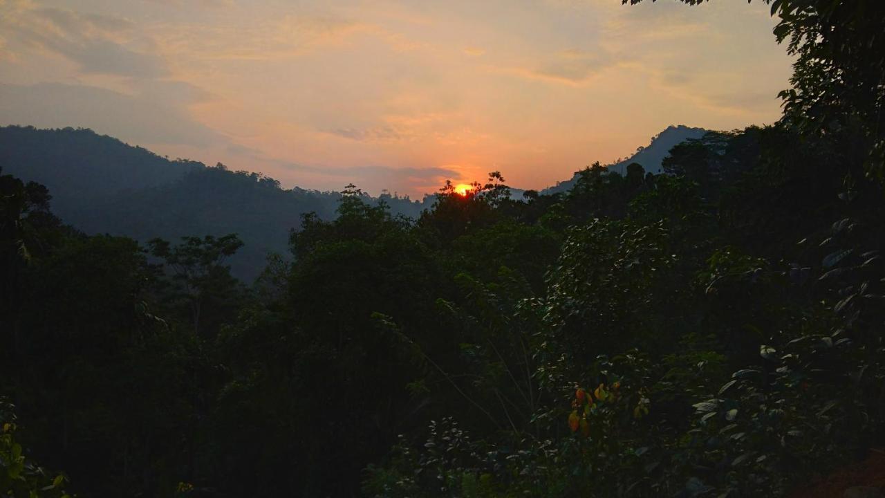 Rainforest Nature House Deniyaya Bagian luar foto