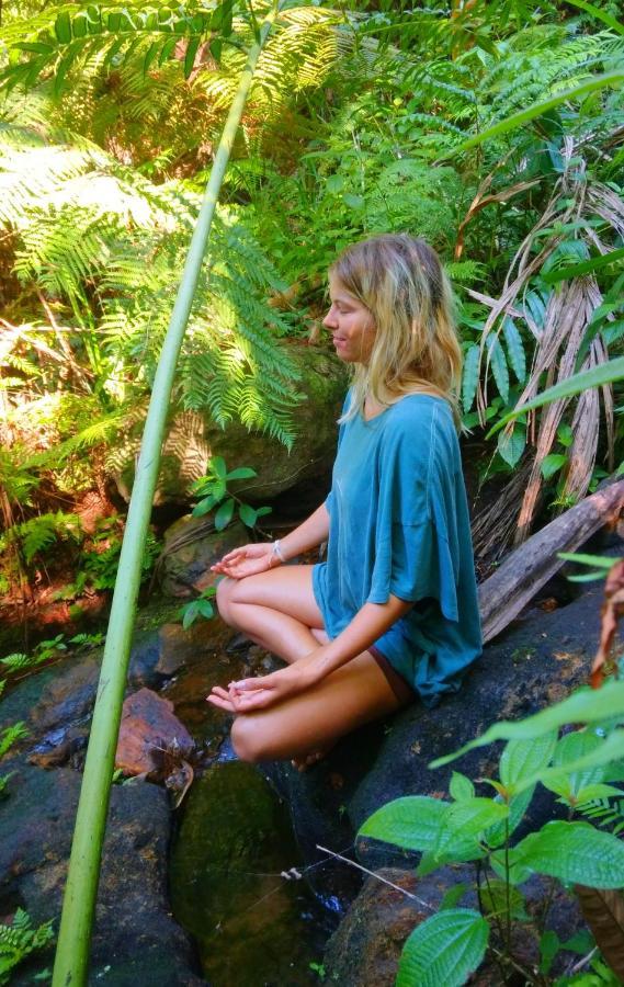Rainforest Nature House Deniyaya Bagian luar foto