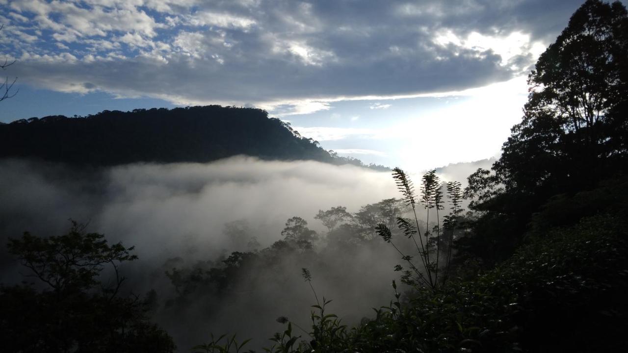 Rainforest Nature House Deniyaya Bagian luar foto