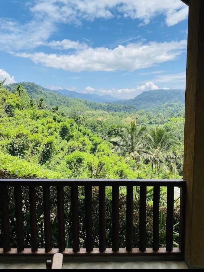 Rainforest Nature House Deniyaya Bagian luar foto