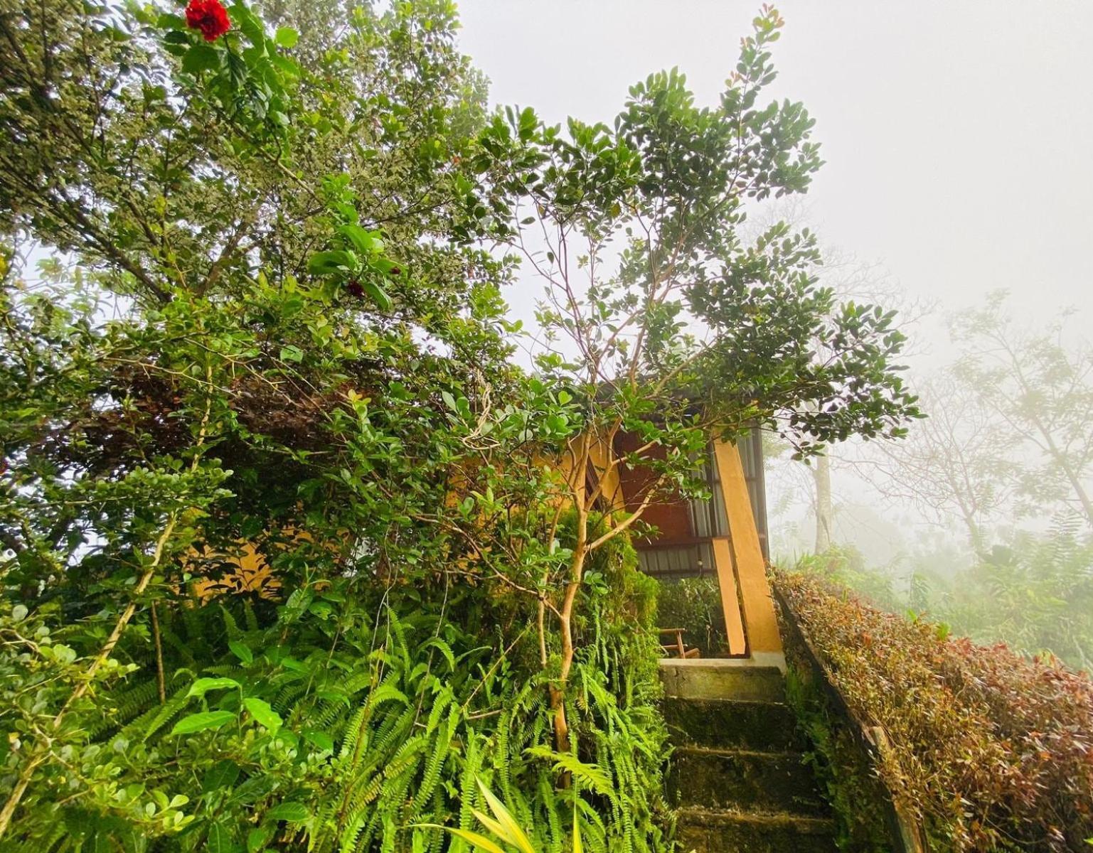 Rainforest Nature House Deniyaya Ruang foto